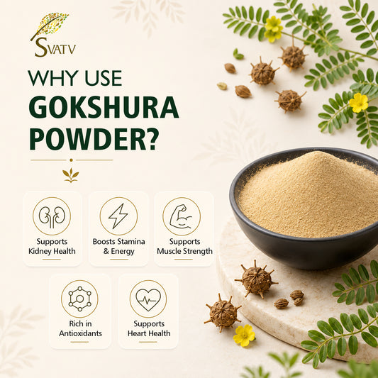 SVATV Gokshura Powder - 227GM