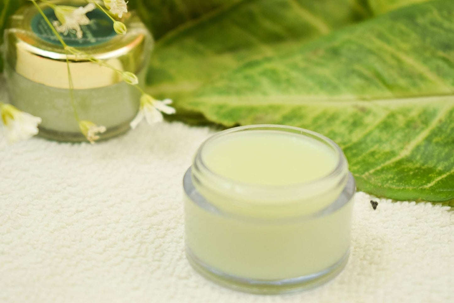 SVATV GREEN APPLE LIP BALM 15GM