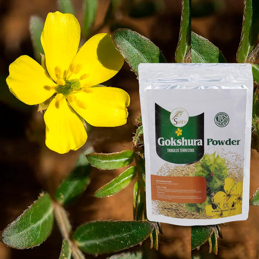 Svatv Gokshura Powder - 227GM