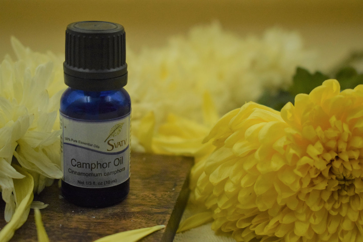 SVATV Camphor Essential Oil