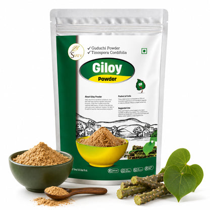 SVATV Giloy Powder | Guduchi | Tinospora cordifolia Stem Powder 227gm (8_oZ)