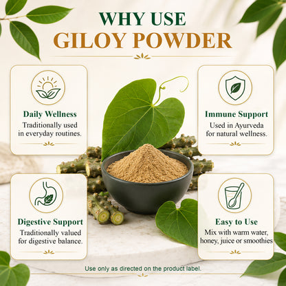 SVATV Giloy Powder | Guduchi | Tinospora cordifolia Stem Powder 227gm (8_oZ)