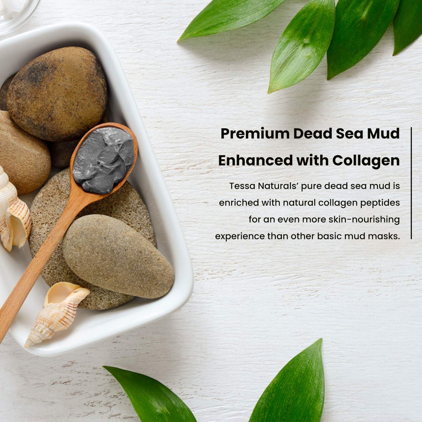 AATMANA Dead Sea Mud Face Pack 250gm For Skin Care