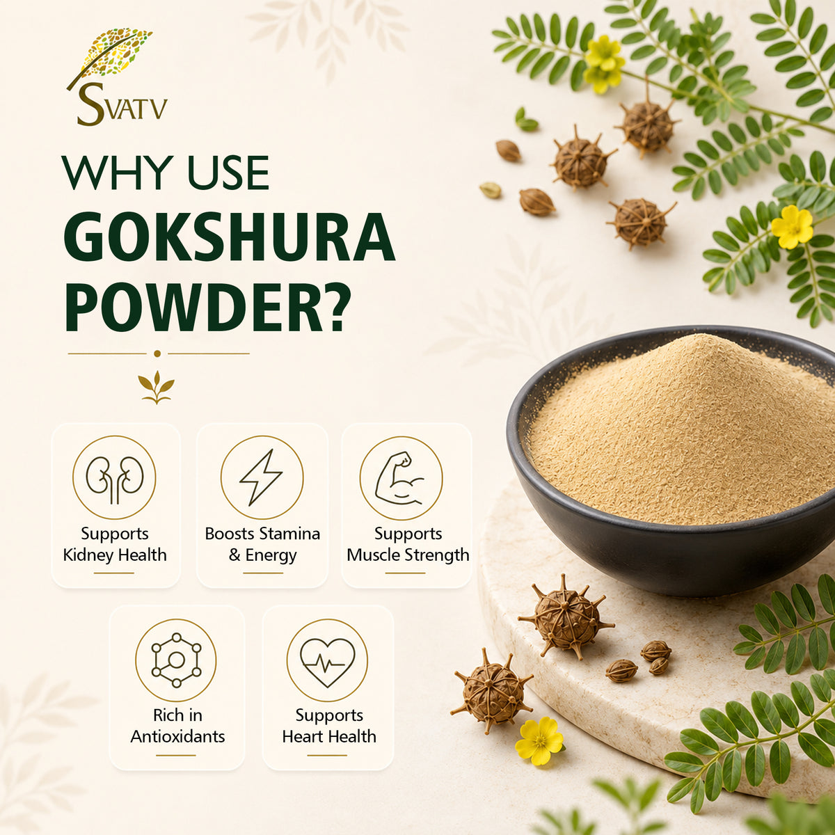 SVATV Gokshura Powder - 227GM