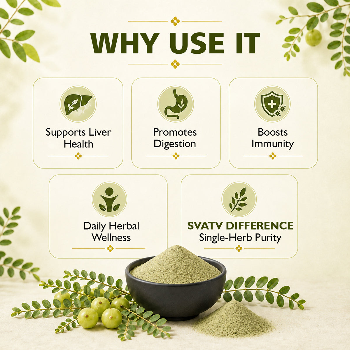 SVATV Bhumi Amla Powder - 227GM