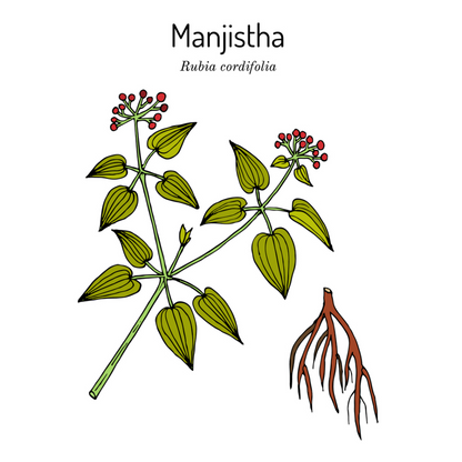 Svatv Manjistha Powder - 227GM