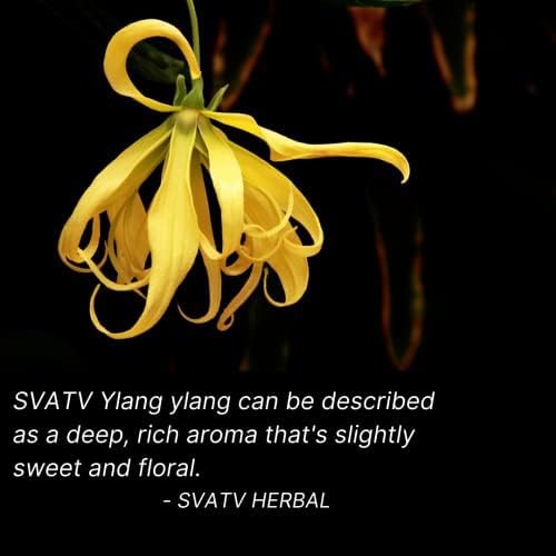 SVATV YLANG YLANG Essential Oil 10ml