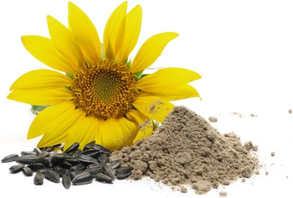 Svatv Kaolin Sunflower Powder For Skin 227gm (8_oZ)