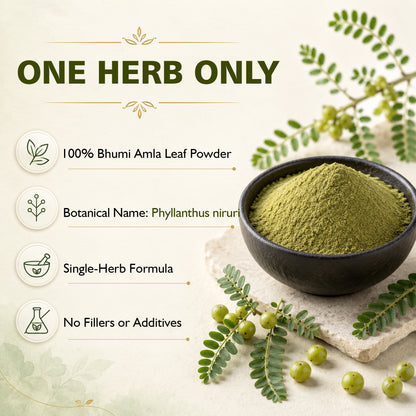 SVATV Bhumi Amla Powder - 227GM