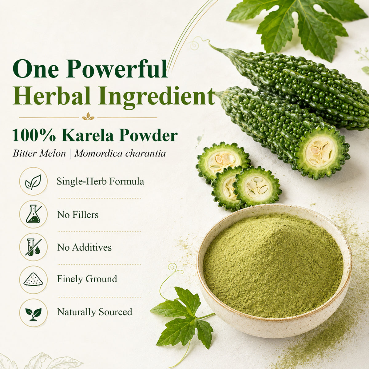 SVATV Karela Powder - 227GM
