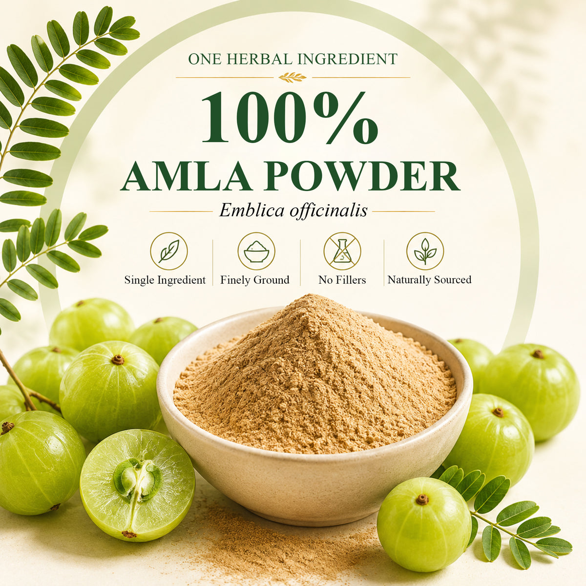 SVATV Amla Powder | Amalaki | Emblica Officinalis | For Hair 227gm (8_oZ)