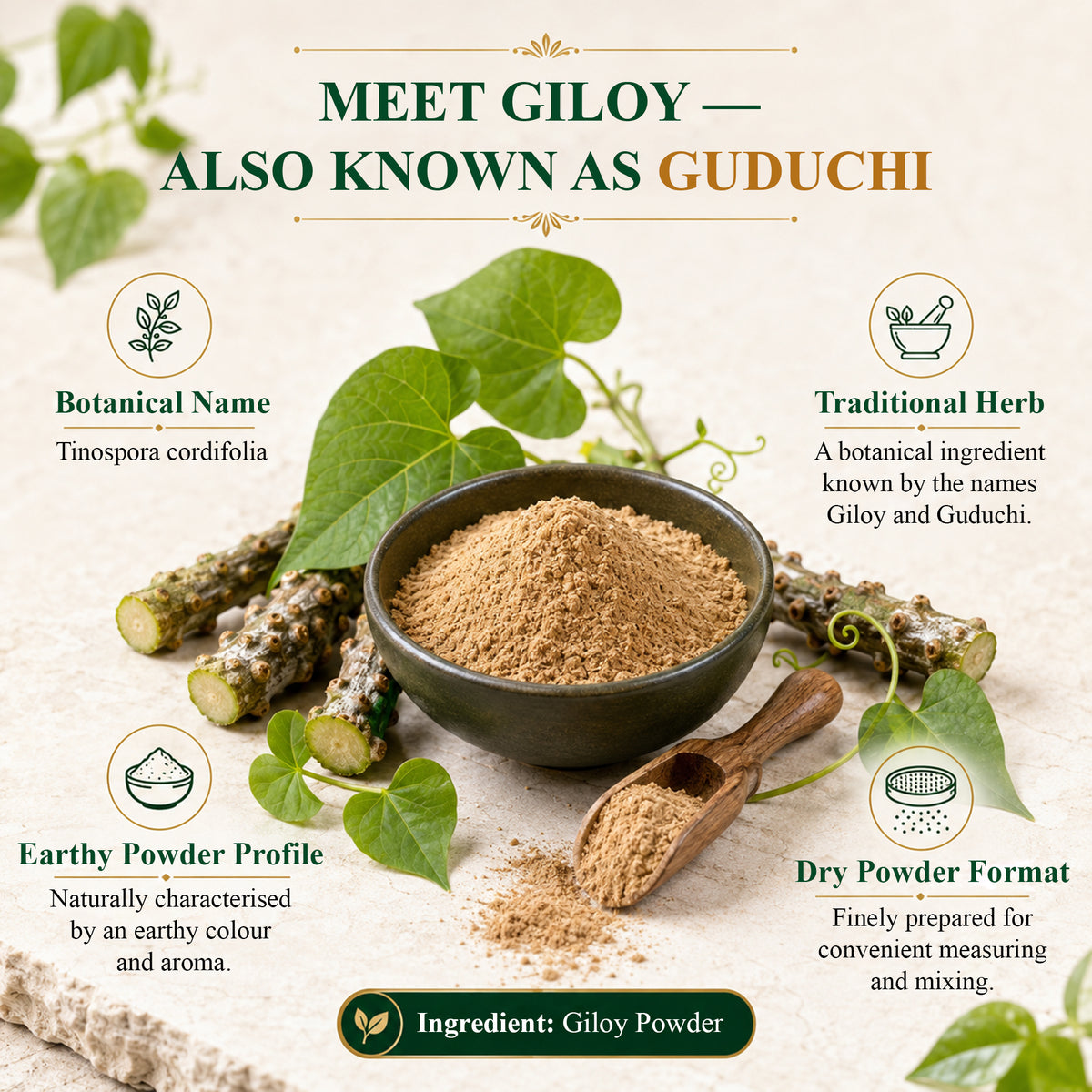SVATV Giloy Powder | Guduchi | Tinospora cordifolia Stem Powder 227gm (8_oZ)