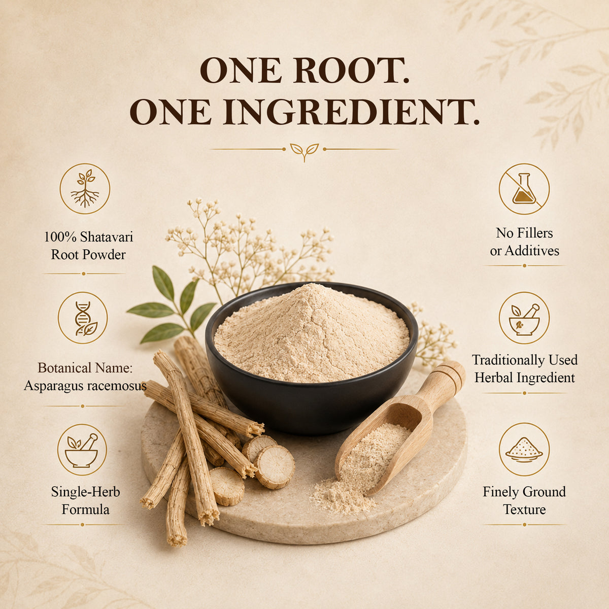 SVATV Natural Shatavari Powder 227gm (8_oZ)