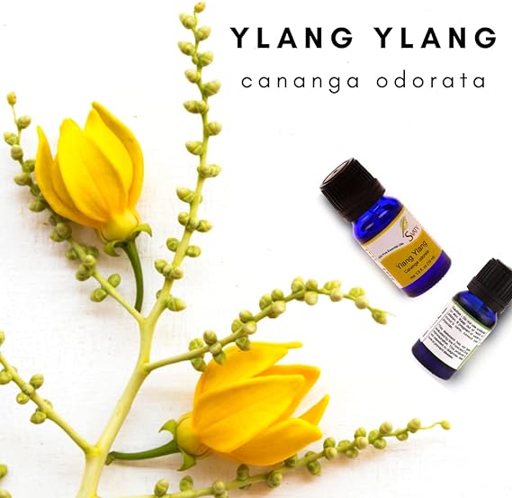 SVATV Ylang Ylang Essential Oil For Yoga Massage Room Fragrance Oil for Diffuser, Aromatherapy Oils,  DIY Personal Care - 10 ml