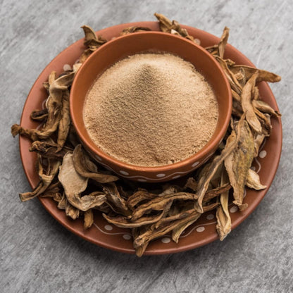 AMCHUR POWDER 227GM