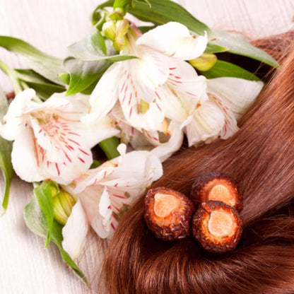 SVATV Soapnut Powder | Reetha | Aritha Powder for Hair Care 227gm (8_oZ)