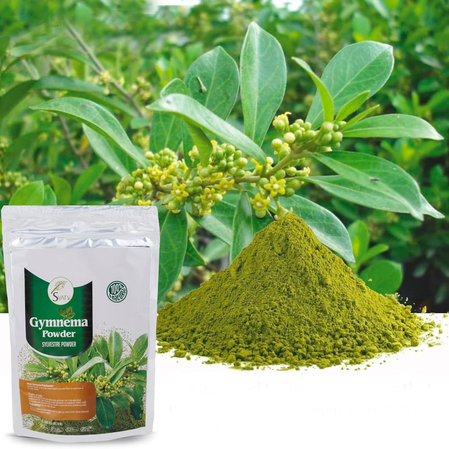 Svatv Gymnema Powder - 227GM