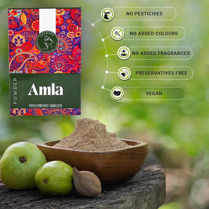 AATMANA Amla Powder For Skin 100gm