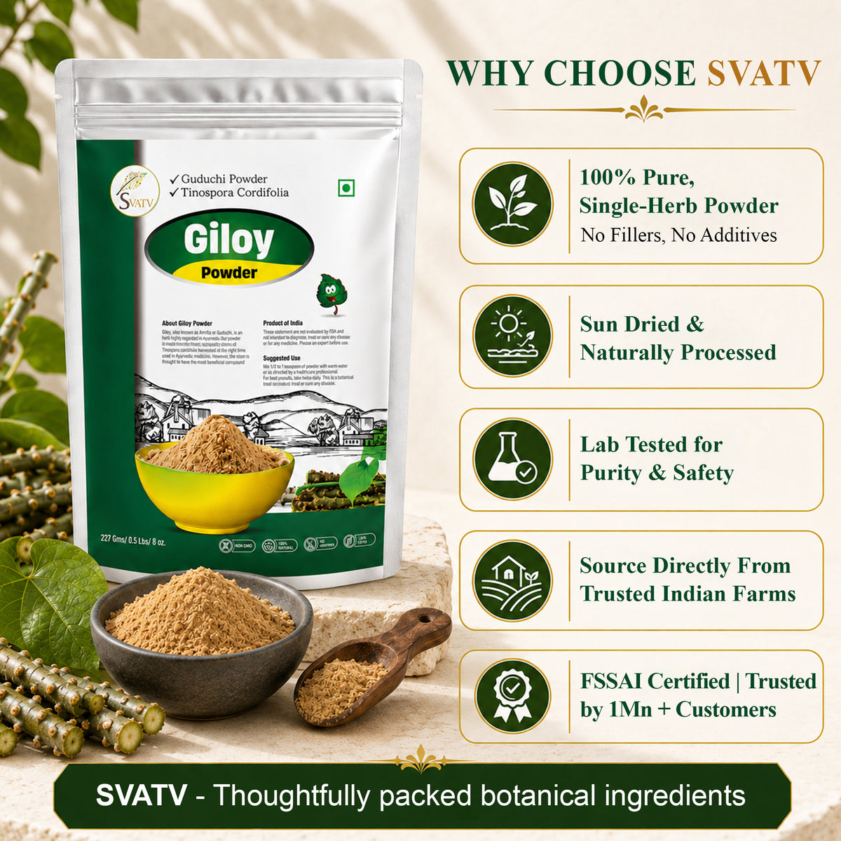 SVATV Giloy Powder | Guduchi | Tinospora cordifolia Stem Powder 227gm (8_oZ)