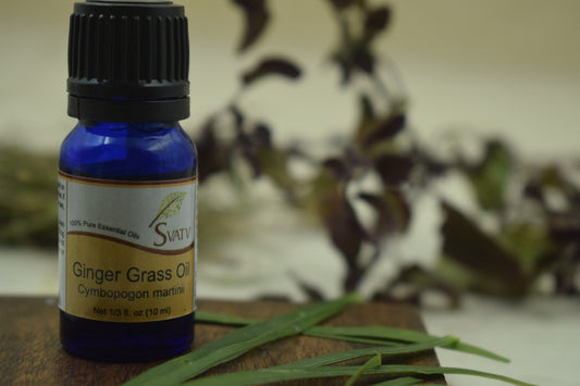 SVATV Ginger Grass Essential Oil 10ml