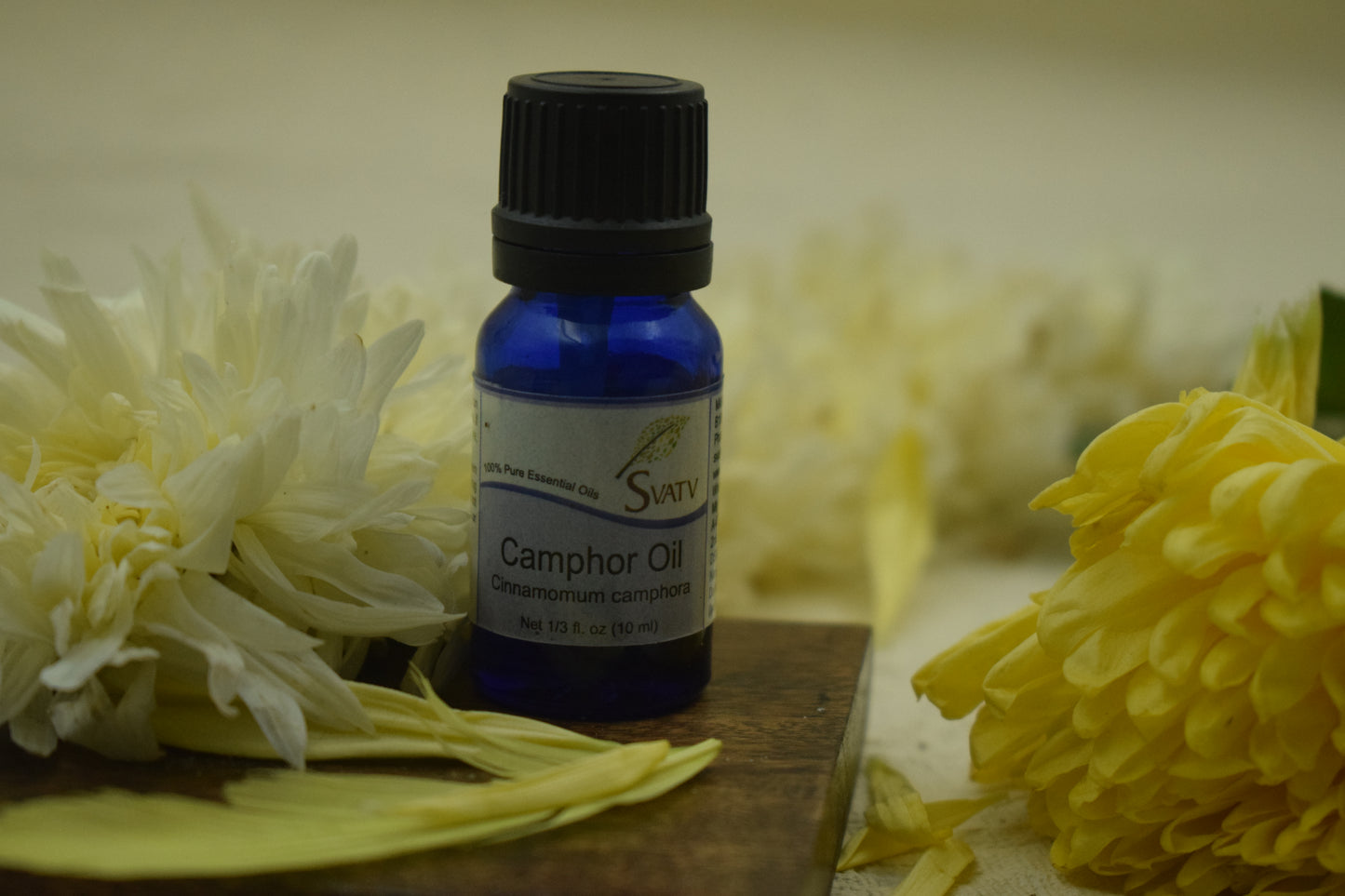 SVATV Camphor Essential Oil