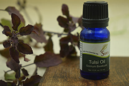 SVATV Tulsi Essential Oil
