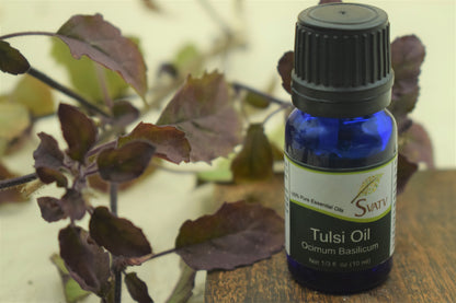 SVATV Tulsi Essential Oil