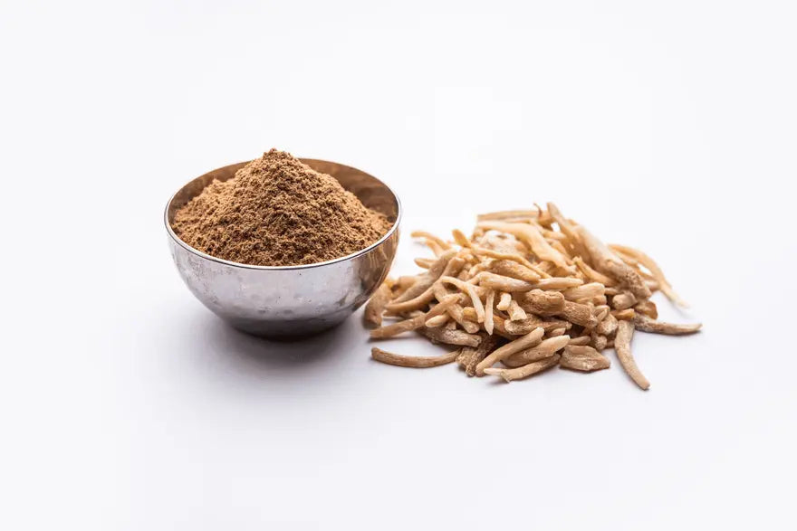 Svatv Safed Musli Powder | 227gm (8_oZ)